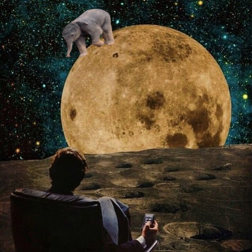 KirbyElephant's tweet photo. Happy Sunday #kirbykrew 

It's the last full moon of the year https://t.co/wG4SOBlxNj