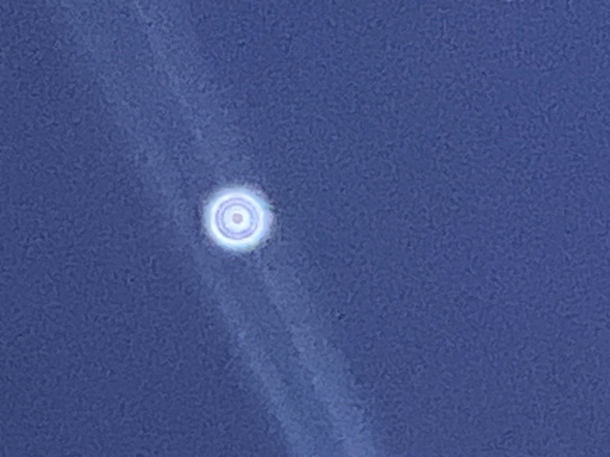Pwack1726's tweet photo. @krassenstein I saw this the other night when I was walking my dog!  I zoomed in. It looked just like what you saw from far away. https://t.co/MHItOeD4ad