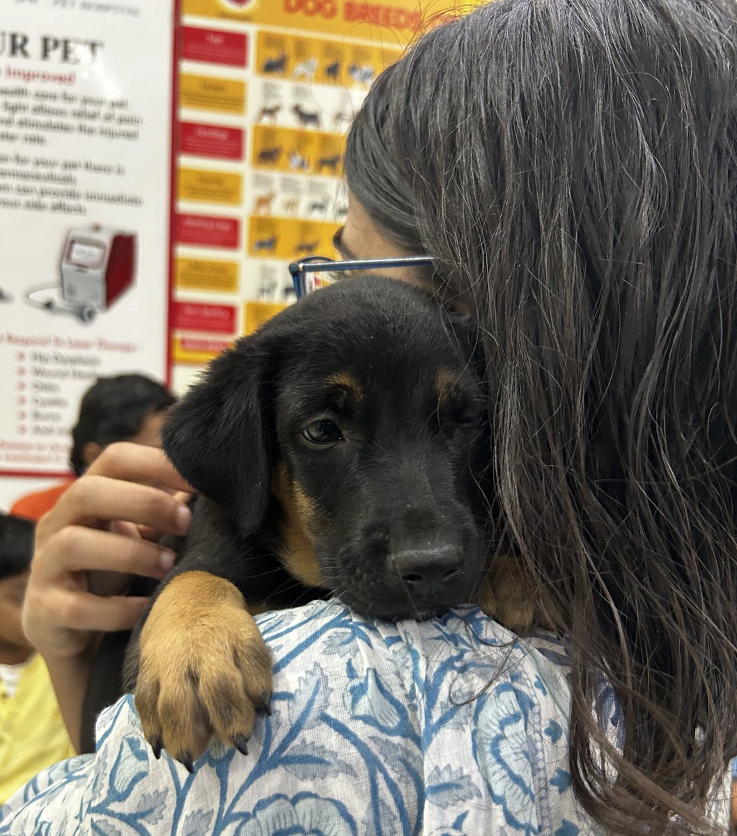 Churo got adopted 😌🌟