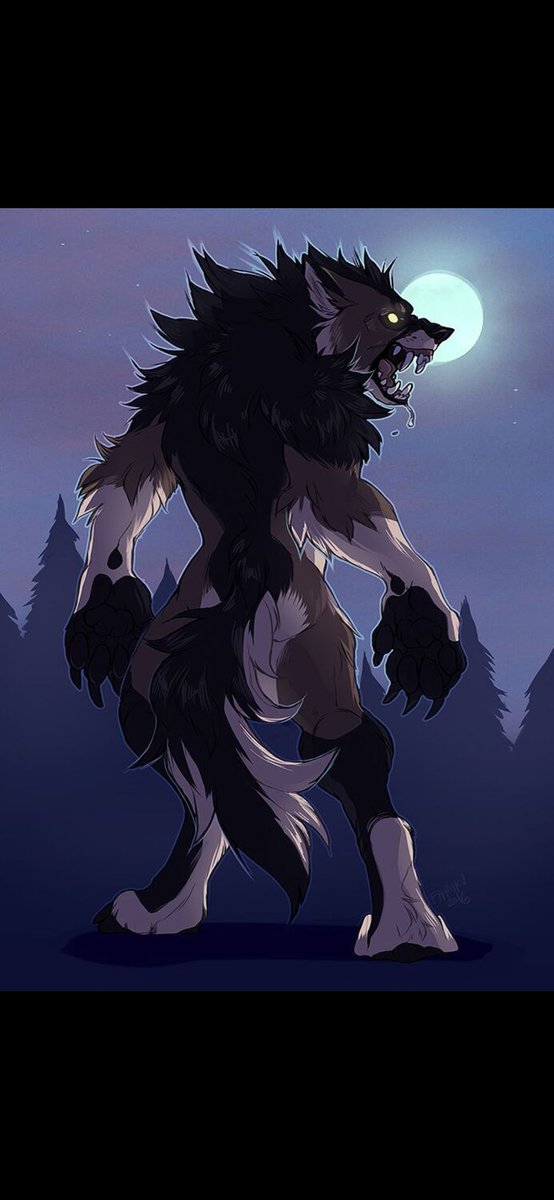 Wolfie (@The_Gentle_Wolf) / Posts / X