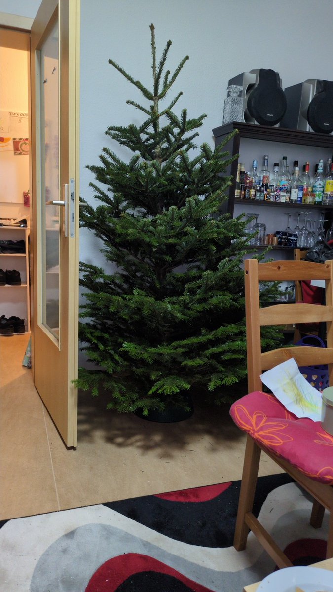 AnneSusann's tweet photo. Wir haben dieses Jahr das erste Mal einen echten Weihnachtsbaum 😍 https://t.co/FfxlCFpq2q