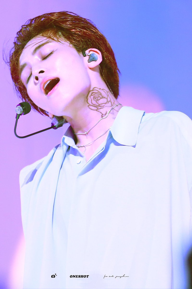 퍼플로즈 윤정한 잊는거 우뜨케 하는건데………🧎🏻‍♀️