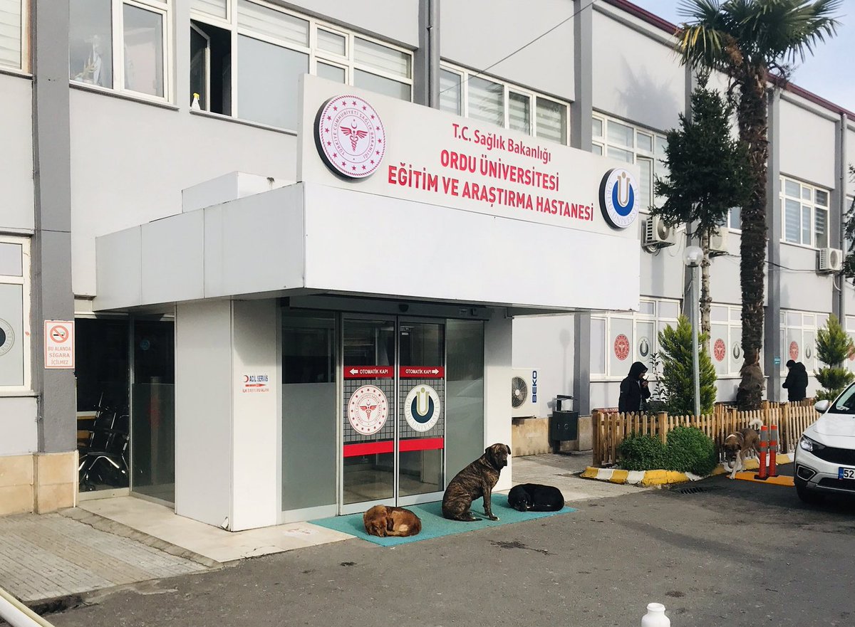 tivitliyo's tweet photo. vatandaş hastaneye giremesin diye önüne köpek koymuşlar😂içinde yaşamasak çok komik ülkeyiz..
@orduniversitesi eğitim ve araştırma hastanesi bu gün sabah saatleri👇 https://t.co/RS5kDSQ6b5