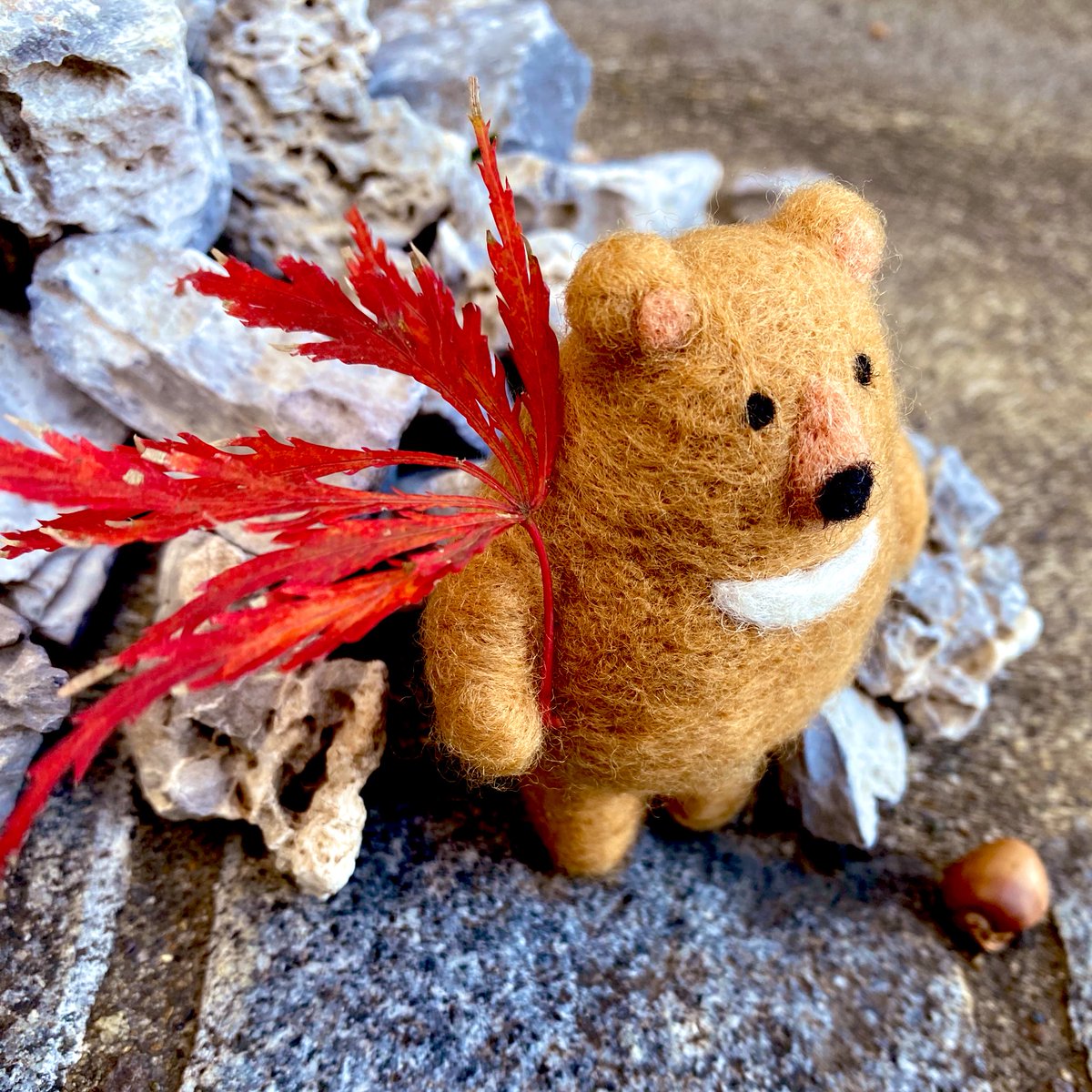 お土産
#マーティの毎日
#ぽってりぐま
#紅
