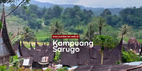 info_andalas's tweet photo. Mengenal Kampuang Wisata sarugo, Kec. Gunung Omeh, Kab. Limapuluh Kota 

https://t.co/IhIkngbTXV https://t.co/3uvdzUClwL