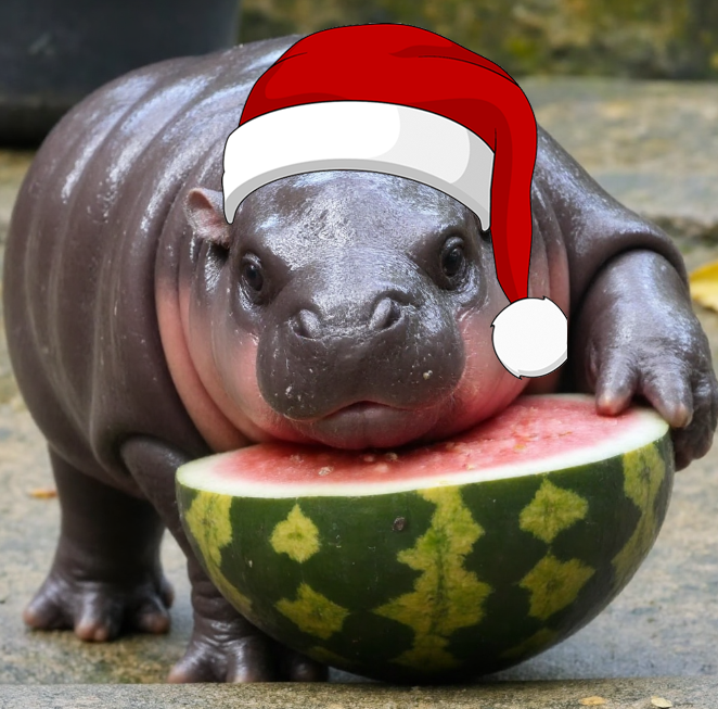 leosiam2's tweet photo. 🚀 Get Ready for the Most Exciting Christmas Token - $M00XMAS! 🎄
$M00XMAS is a special token built on the Solana blockchain, bringing you the joy, excitement, and festive vibes of Christmas. https://t.co/suxC5afmx2