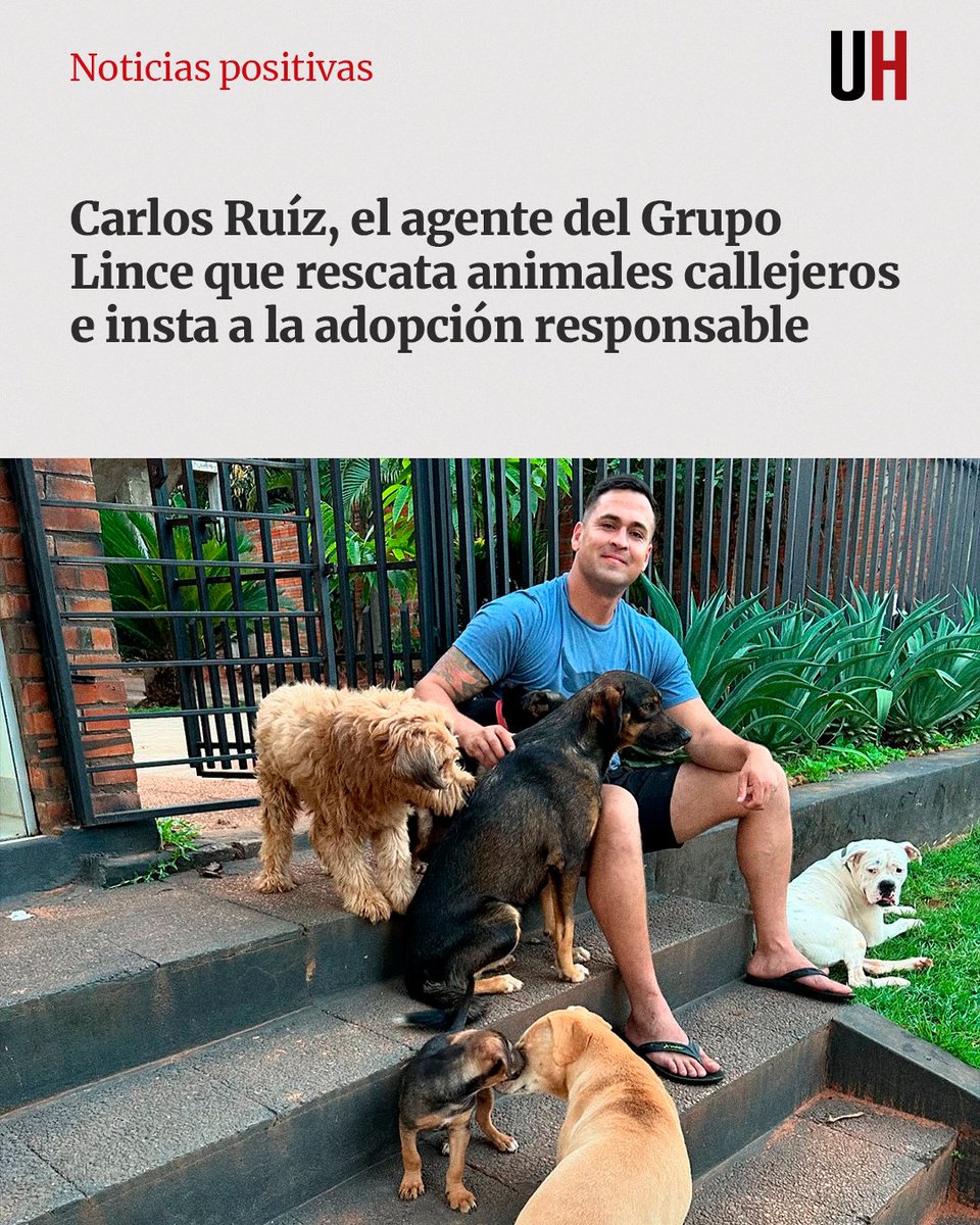 UltimaHoracom's tweet photo. #NoticiasPostivas | Oficial del Grupo Lince se dedica a rescatar, castrar, curar y dar un hogar feliz a los perros que rescata de las calles.

🔴 Nota: https://t.co/WKPp0Cu5CW https://t.co/BYuwSmXbPY