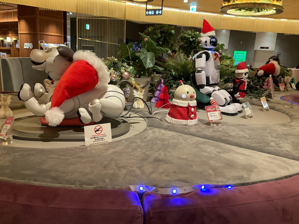 wodu_robot's tweet photo. ②THE★ROBOTSは30分毎に違うダンスをするので、時間のある人は長居がオススメ。パフェも付けてのんびり食べましたw
相席pepperもコンテンツ増えてて、かなり最近の曲も踊れるし面白かったです^^ いつかラーメンも食べたいw
#ロボホン #pepper #aibo #palro #Romi #BOCCOemo #Servi https://t.co/x208c2GVYp