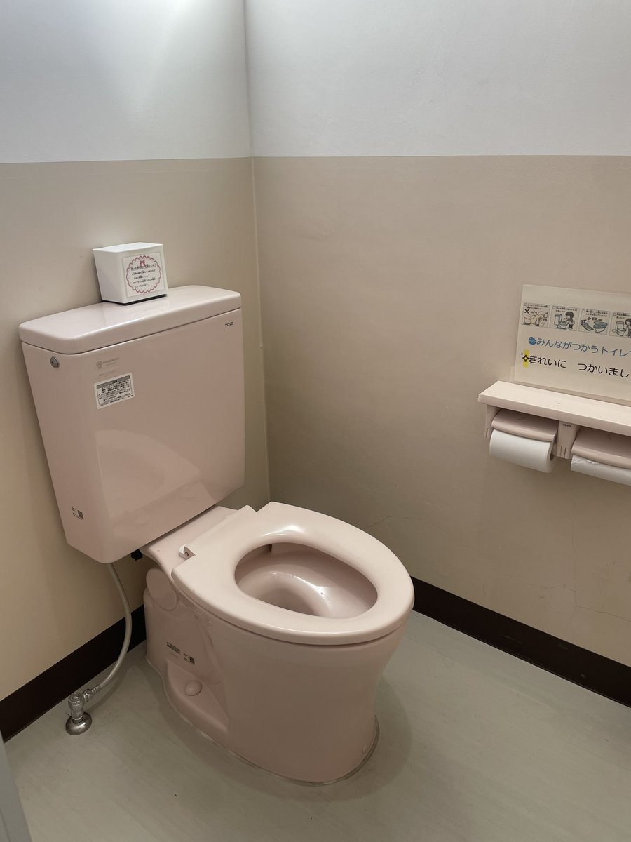 MayukoNAKAMURA5's tweet photo. ２年前、長女の小学校でPTA役員になってなんとか実現した、女子トイレへの生理用ナプキン設置、今でも継続してもらっているのが見れて嬉しい瞬間✨ついに全てのトイレが洋式になって良かった🙌 https://t.co/fT060DrWVy