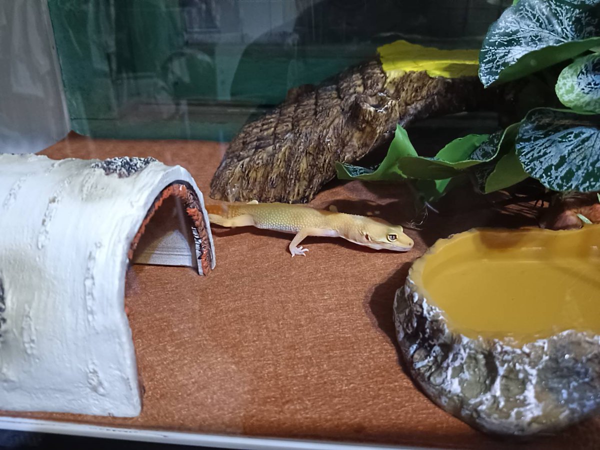 05/Kamitake🔞 tweet media