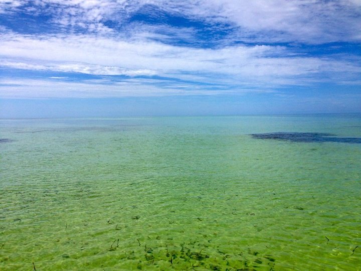 BestWesternKW's tweet photo. Happy Sunday morning from the gulf of #KeyWest. #gulfofmexico #tropical #getropical #sundayfun #sundayfunday #islandview #goodmorning
Book your #vacation here: https://t.co/cmvHKSoIeC
#PartyInKeyWest #keywestflorida #keywestfl #floridakeys #visitkeywest #lovekeywest https://t.co/sxxoF9Yed6