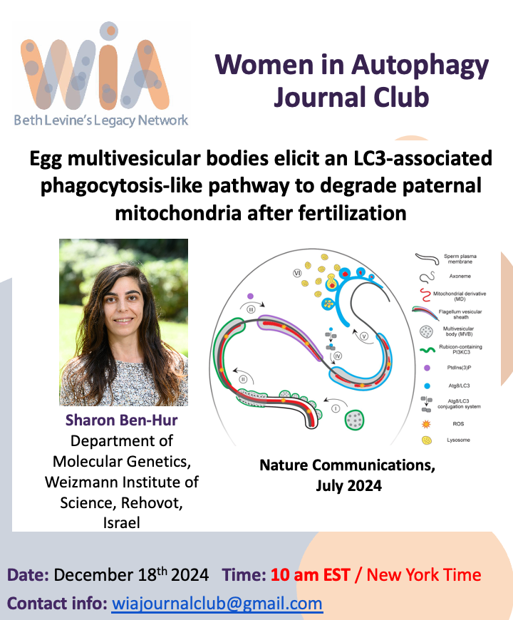 WAutophagy's tweet photo. 🅢🅐🅥🅔 🅣🅗🅔 🅓🅐🅣🅔!!! 18th December at 10 am EST. 🄹🄾🅄🅁🄽🄰🄻 🄲🄻🅄🄱: "Egg multivesicular bodies elicit an LC3-associated phagocytosis -like pathway to degrade paternal mitochondria after fertilization" with Dr. @SharonH57485 Contact us: wiajournalclub@gmail.com https://t.co/o7xkJfcUGI