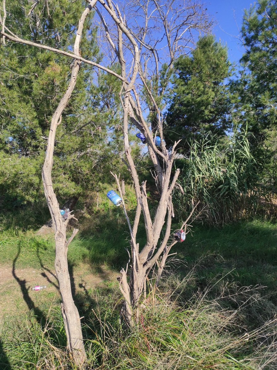 PetjadaVerda tweet media