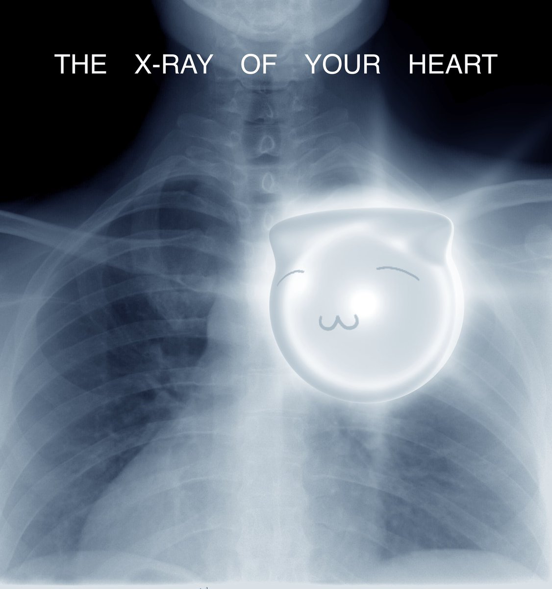 natcat (@natcatdotxyz) on Twitter photo 