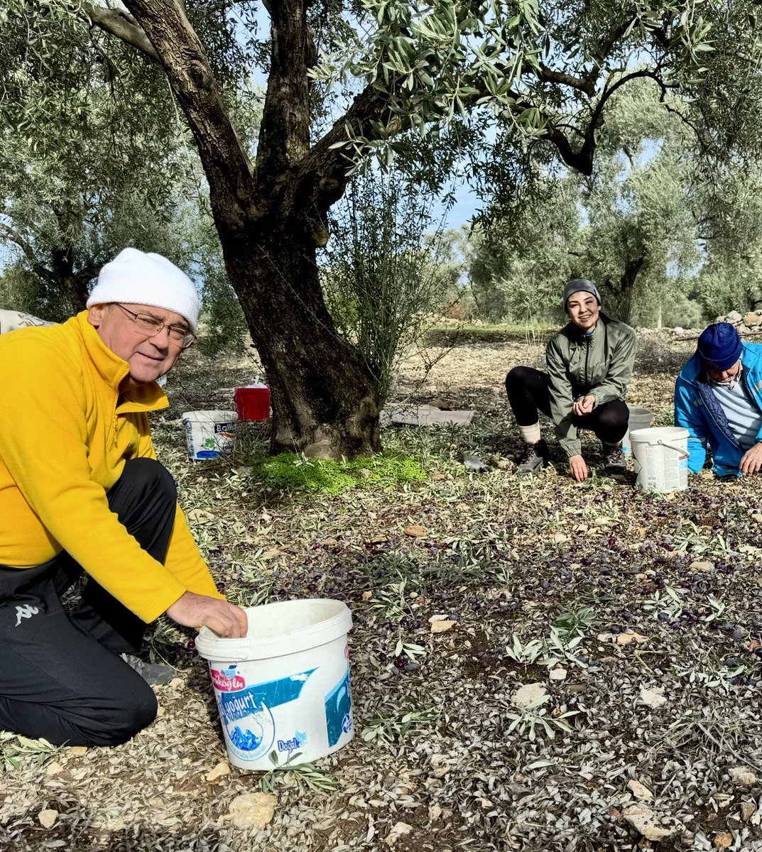 Av. Muhammet Tokat tweet media