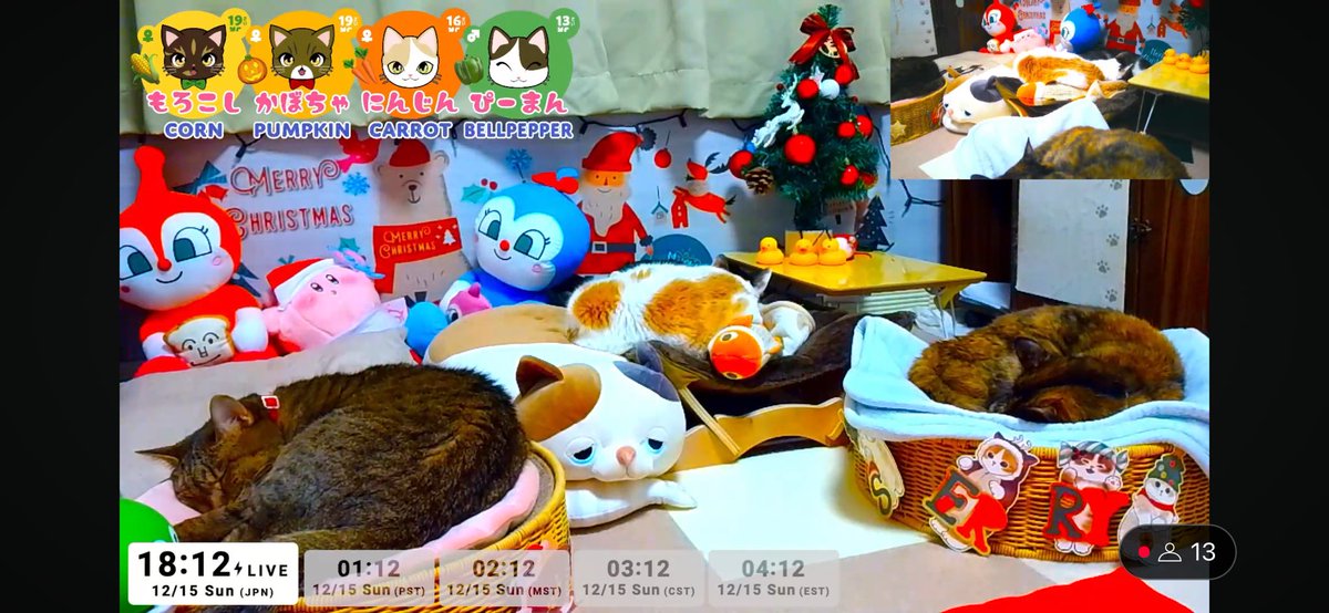 Old Catfield tweet media