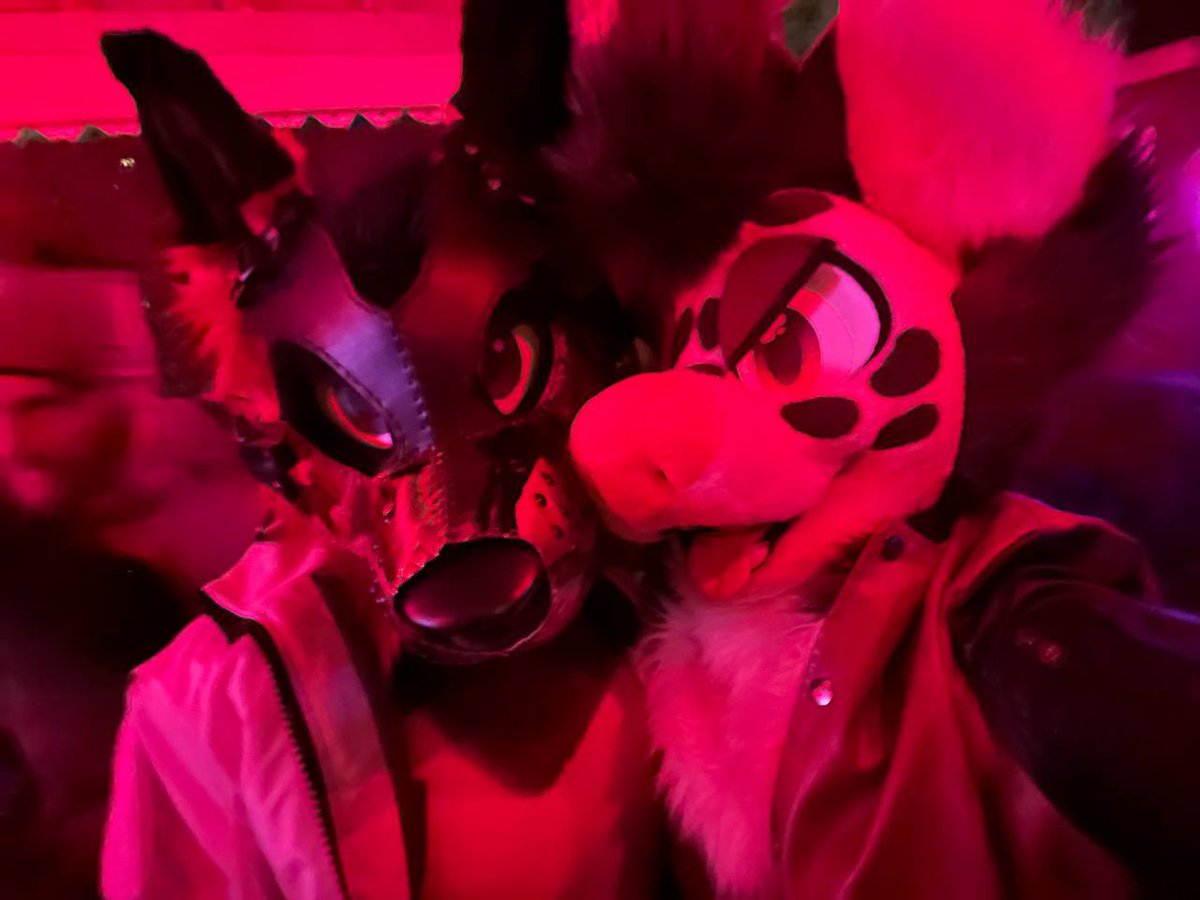DeckerCrossFox's tweet image. It was gonna be an introverted night but @Yeenbark said pull up it’s Foxtrot tonight