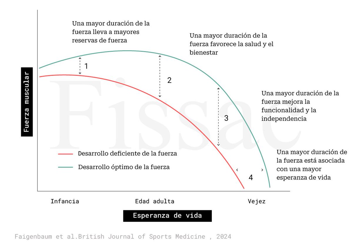 EstherMorencos's tweet photo. He ido directa a leer, porque vengo hablando de este tema con especial hincapié en niñas. No puede estar mejor recogido, gracias @javi_salud Me encanta el concepto de strengthspan (tengan claro todos los lectores que se refieren a niños… y NIÑAS!) 💪 https://t.co/lmA5FtG8Qz https://t.co/ZoqVYm1Pfp