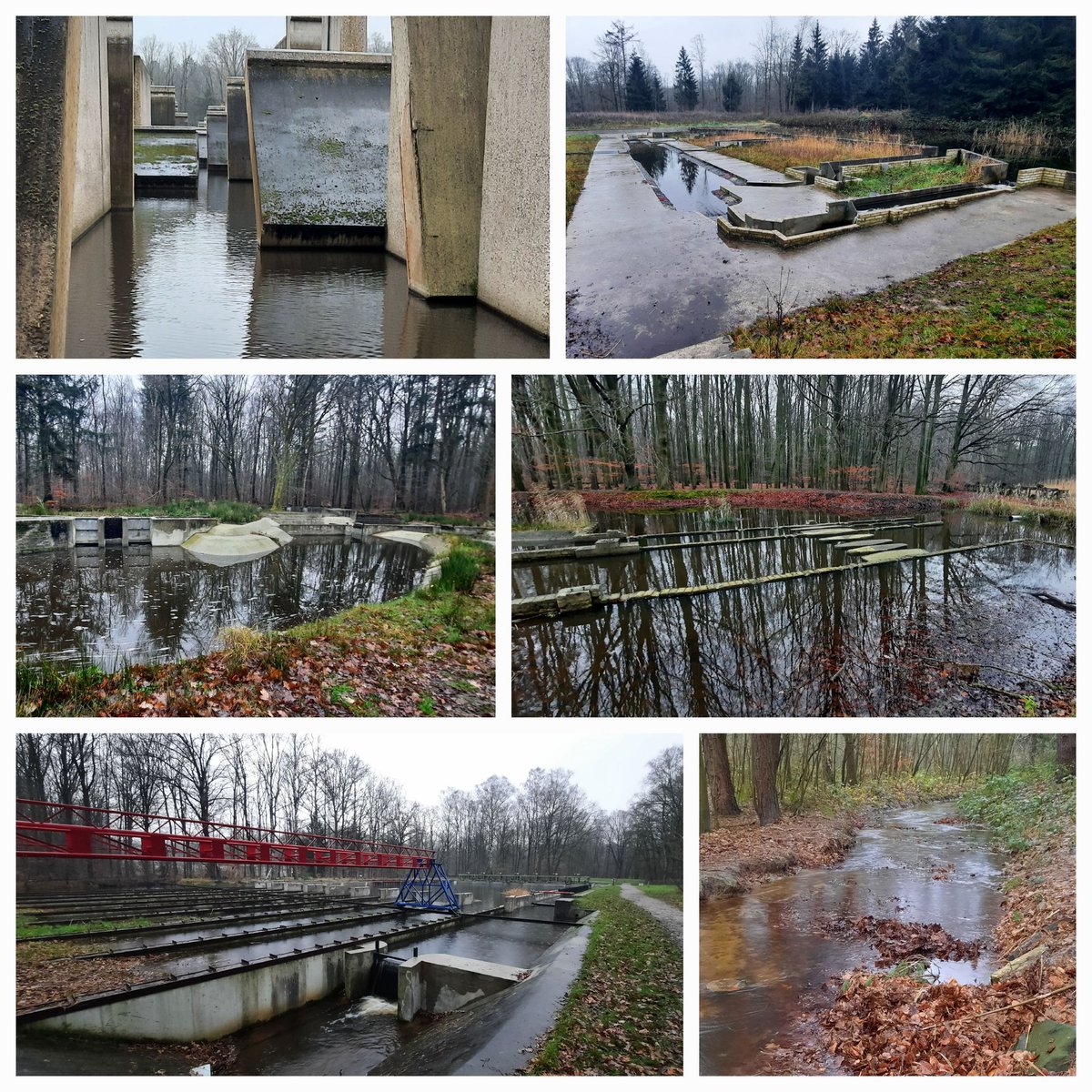 WNapBaukema's tweet photo. Het #Waterloopbos, gisteren een excursie olv een bevlogen oudwerknemer, zeer interessant! Het culturele erfgoed in het prachtige #Voorsterbos, een aanrader! #Natuurmonumenten #wandelen #cultureelerfgoed https://t.co/v0TFVGoWmQ