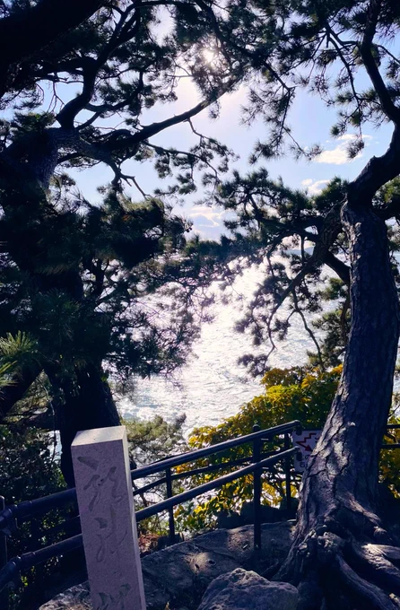 久々の竹島 