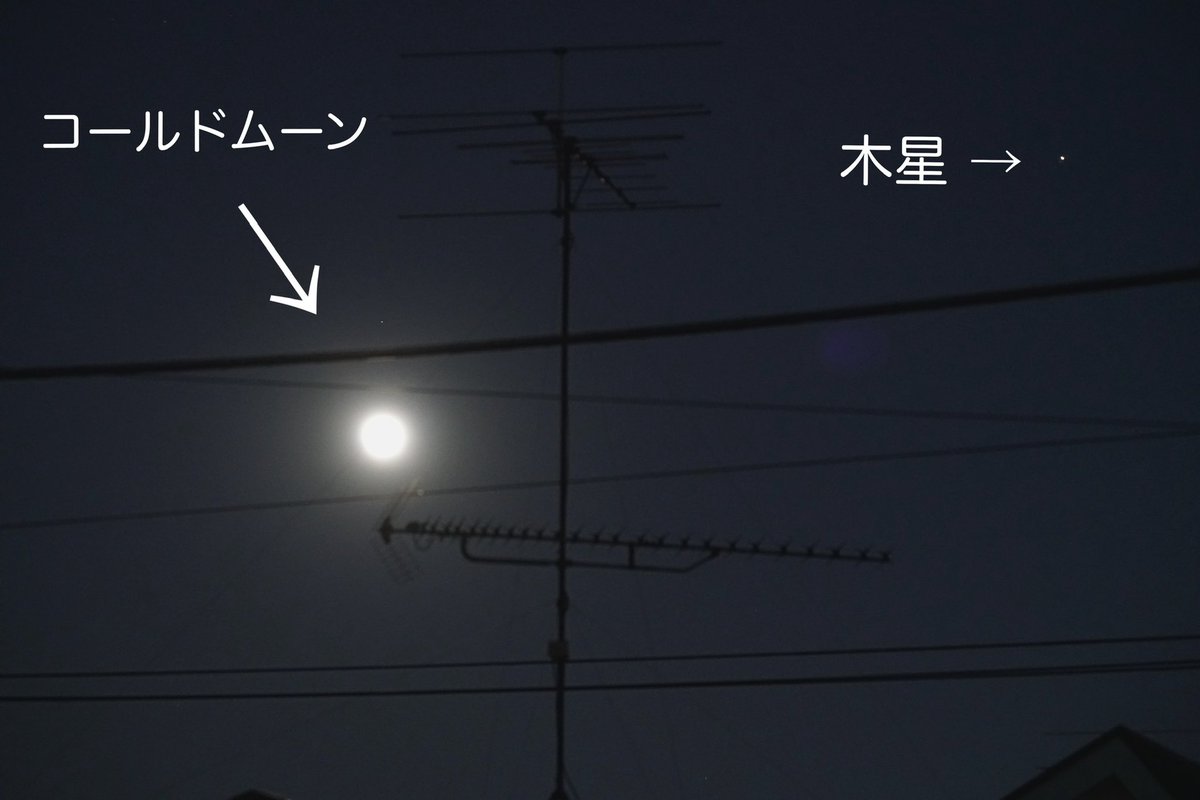 KevinSako's tweet photo. 今夜は満月、12月の満月はコールドムーン。月が昇ってきたところを撮影。近くでは木星が輝いていました。🌕
.
#12月 #満月 #fullmoon #coldmoon 
#sony #a7rii #sel70300g #digitalzoom #trimming 
#写真好きな人と繋がりたい #写真が好き https://t.co/IHTN5r9QeV