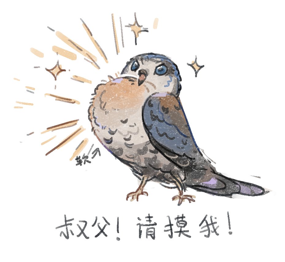 sjxkwogfvyxjwo's tweet photo. 请摸摸荷鲁斯柔软的毛毛
（捏捏捏） #ENNEAD #엔네아드 #九柱神 https://t.co/HaX0oEpcfD