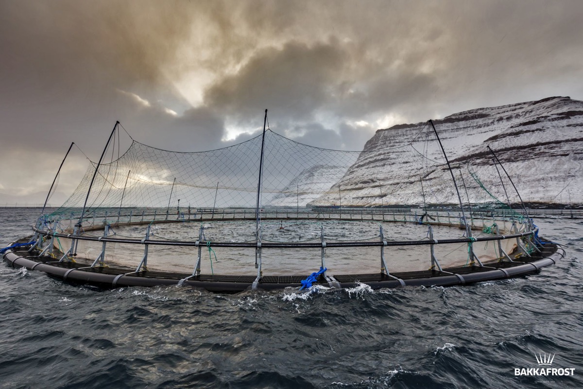 Faroese opposition lawmakers argue that a steep tax hike on fish farming threatens the growth and stability of the industry - read the story: bitl.to/3Owq

#Faroes #Aquaculture #Tax #politics