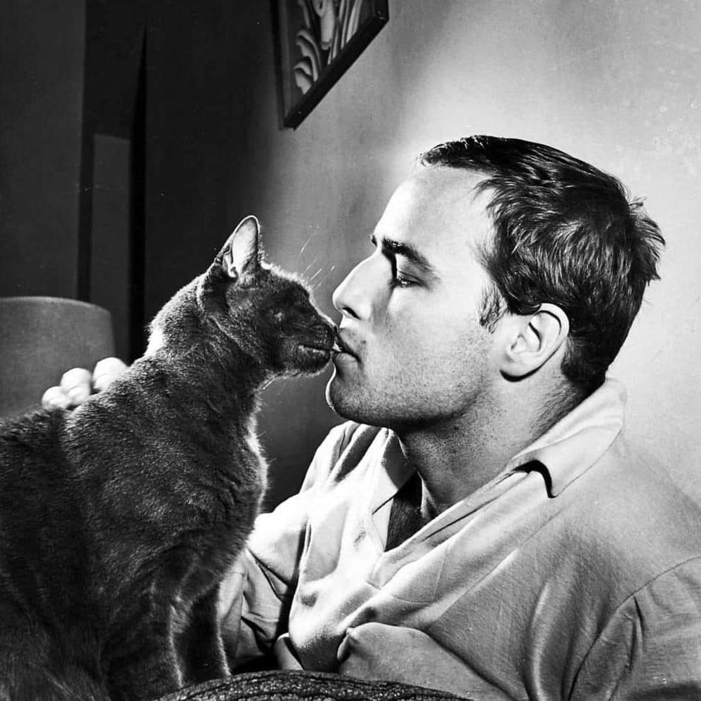 Marlon Brando, a cat lover, once declared, “I live in my cat's house". 
#realmenlovecats