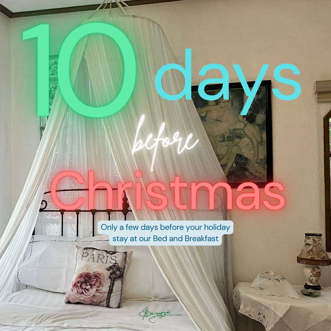 sonyasgarden's tweet image. Who else is excited for a holiday escape to Sonya's Secret Garden? 🌿✨ Cozy stays, garden blooms, and a 𝙛𝙧𝙚𝙚 𝙖𝙘𝙪𝙥𝙪𝙣𝙘𝙩𝙪𝙧𝙚 𝙘𝙤𝙣𝙨𝙪𝙡𝙩𝙖𝙩𝙞𝙤𝙣 with your BnB booking. 🪷 Holiday self-care just got better! 🎄 #HolidayGetaway #SonyasSecretGarden