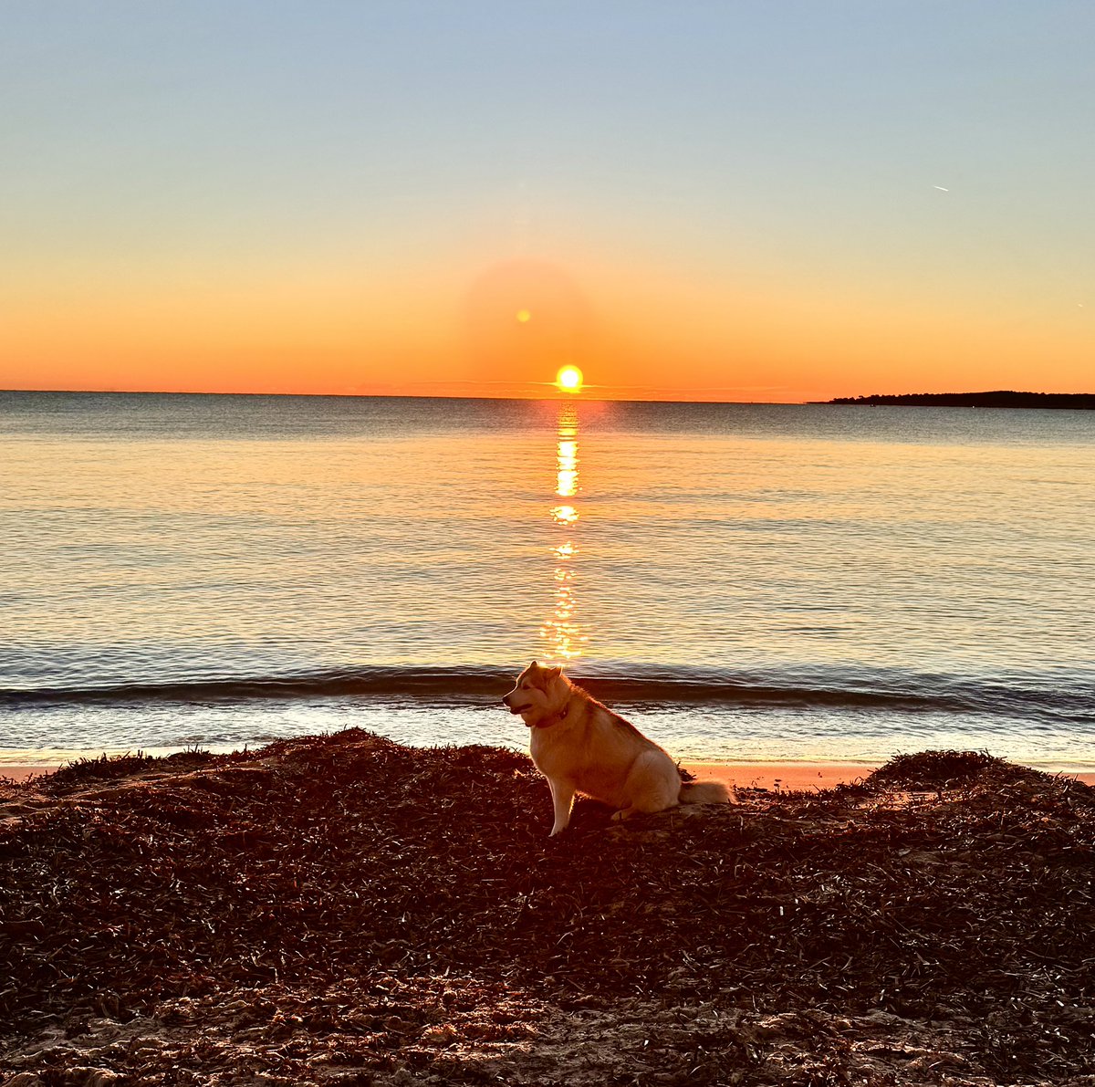 ReneTombarel's tweet photo. Lever de soleil dominicale sans l’ombre d’un nuage #cannes #cotedazurfrance @VisitCotedazur @villecannes @Cannes_France https://t.co/Nplfaea8eK