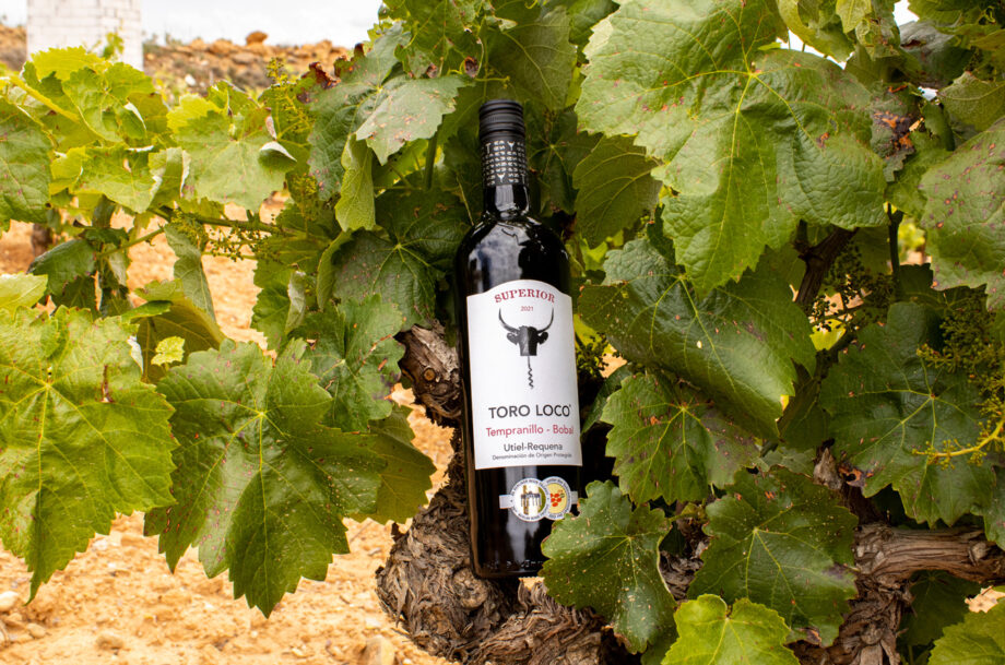Decanter's tweet photo. Discover BVC Bodegas: a winery in Utiel-Requena rooted in quality, trust, and respect. Explore their Toro Loco wines, showcasing the vibrant potential of Bobal #Ad #DOUtielRequena #Bobal https://t.co/09Gwgy87Bc https://t.co/bOppqhljXr