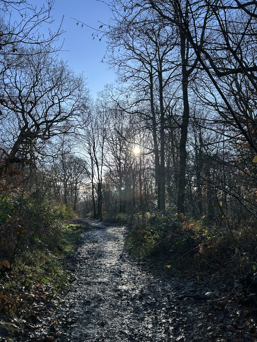 Beautiful walk in the woods yesterday, lovely to see some sunshine ☀️