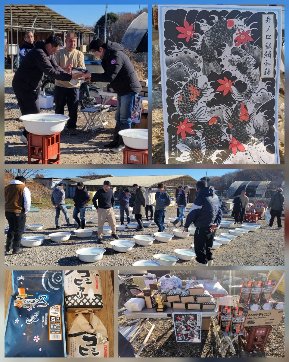 gfverander's tweet photo. 今日は仲間で集まり今年最後の金魚活動
和錦＆長物自慢魚＆270産の更紗鮒尾和金当歳稚魚から育てての現在弐歳鑑評会
私は270産更紗和金を二匹出品して2位と3位。上々だけどなんか悔しい😂
1位の魚は良かったので納得

今年も楽しい金魚生活でした
協賛いただきました皆様
ありがとうございました！ https://t.co/w3bKAWLMvd