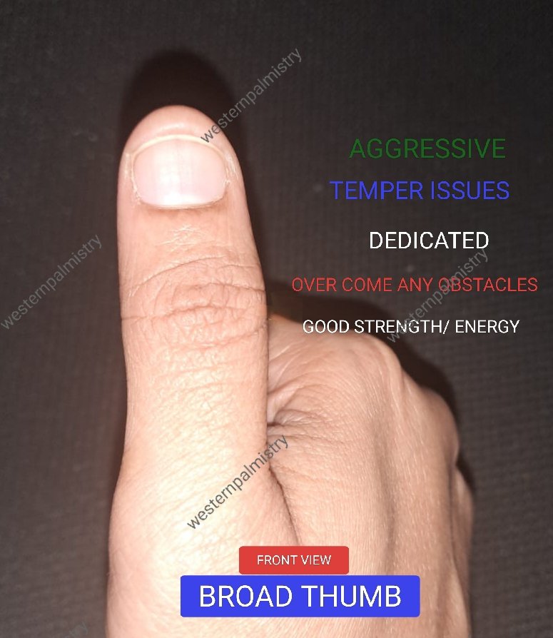 palmist_cath's tweet image. Language of your palm 
#Palmistry #HandAnalysis #PalmReading #Chiromancy #HandReading #PalmShapes #westernpalmistry #MountsOfTheHand #PalmistryChart
#Astrology #Mysticism #SelfDiscovery #PersonalGrowth #Mindfulness #SpiritualGrowth  #PalmistryArt #HandDrawing #Airdrop
#Palmist
