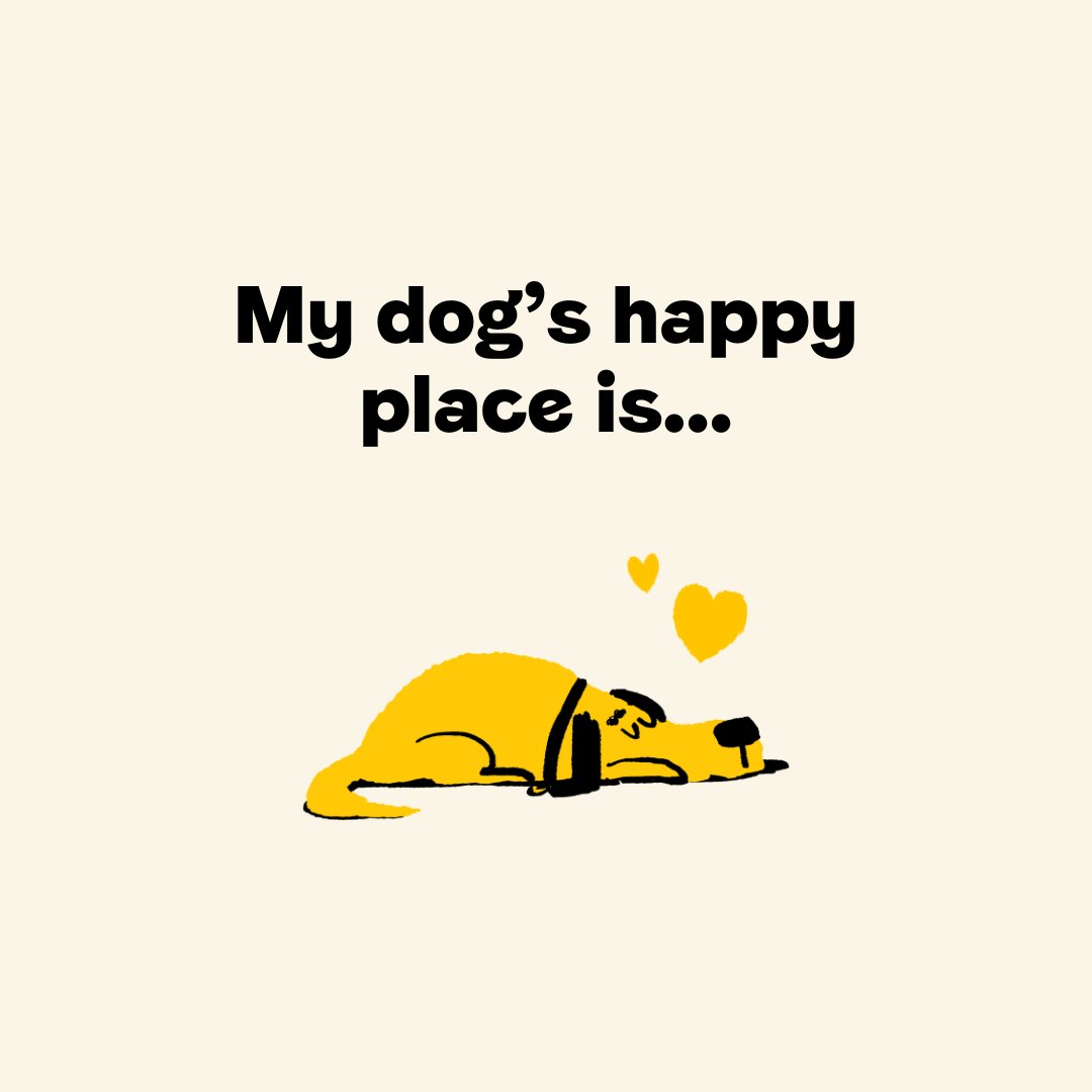 Where is your dog's happy place? The beach maybe? Or the sofa? 🐶 Spread some festive cheer and show us your furry friend at their very happiest! 💛