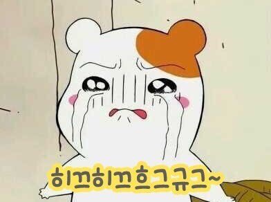 ㅠㅠ 덥즈 콘서트해죠
차니야 보고싶다😩😢😢엉엉이