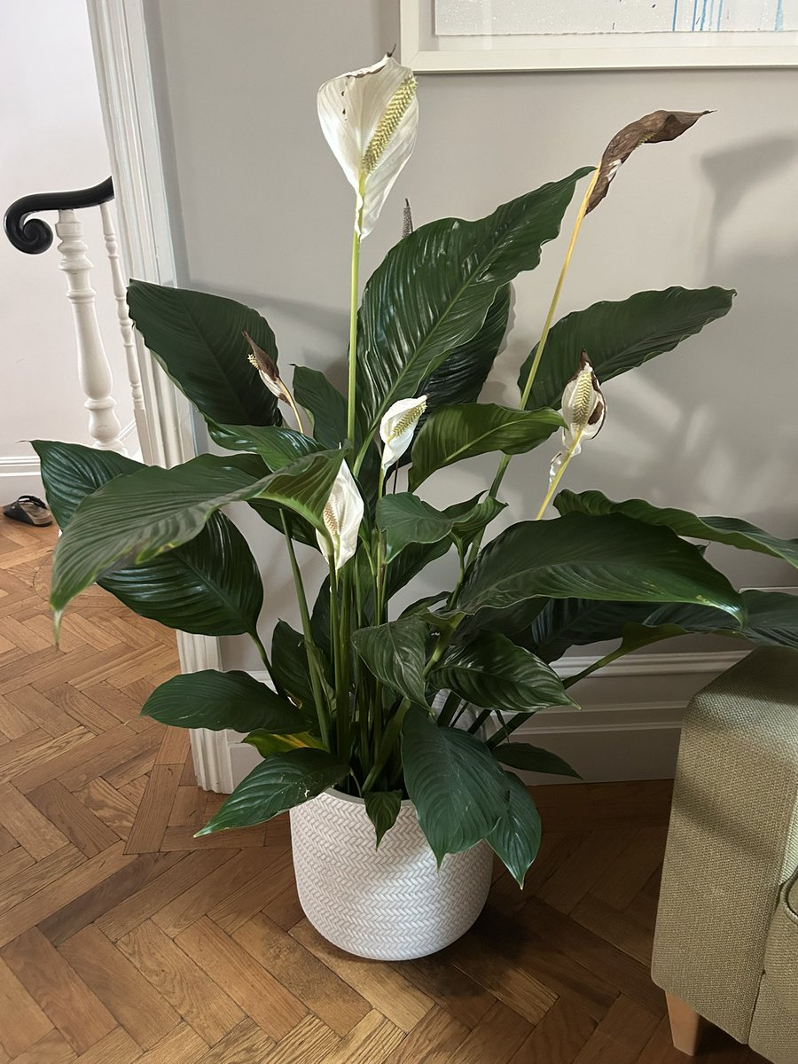 Stuart Murphy tweet media