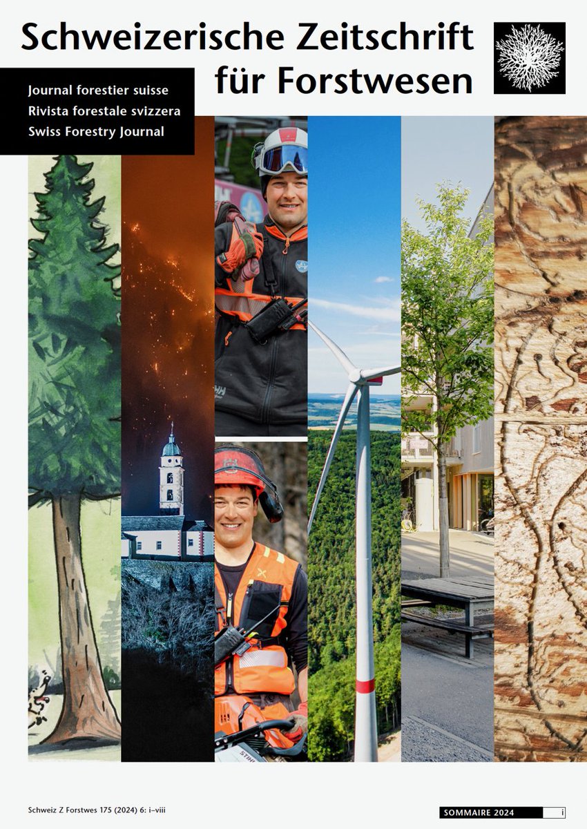 Der Jahreswechsel lädt dazu ein, innezuhalten und noch einmal durch ausgewählte Artikel zu blättern – ein Moment, um wertvolle Gedanken und Erkenntnisse neu zu entdecken. meridian.allenpress.com/szf
#SZF #Waldbiodiversität #SchweizerForstverein #forstverein #wald