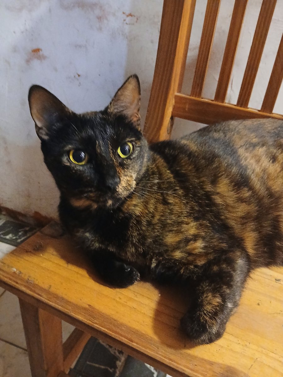 4ip4 (2) mas racista que nunca (@4ip4_2_) on Twitter photo 