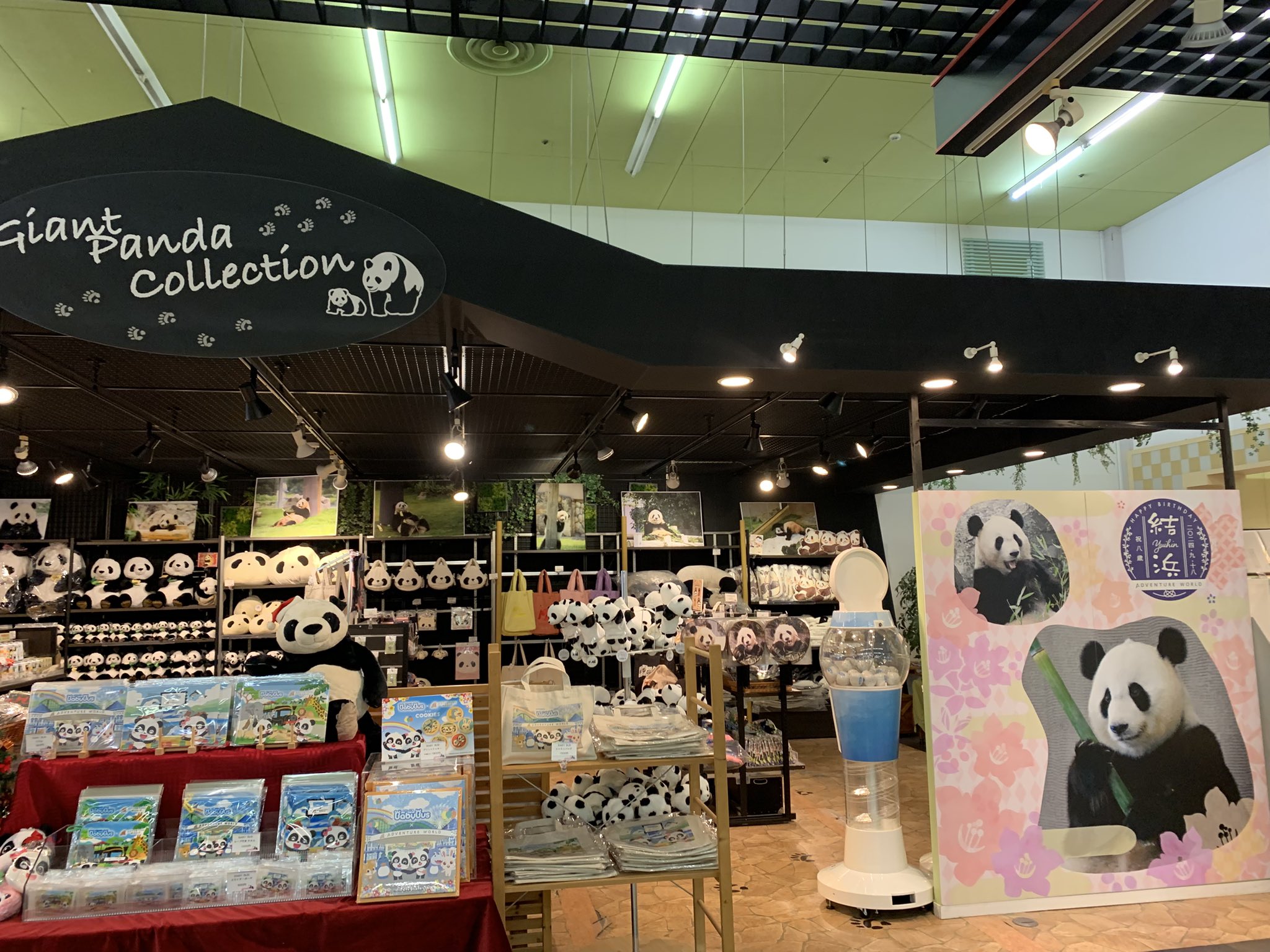 ともち【記念メダルマップ】観光地販売場所2025年 on X: 