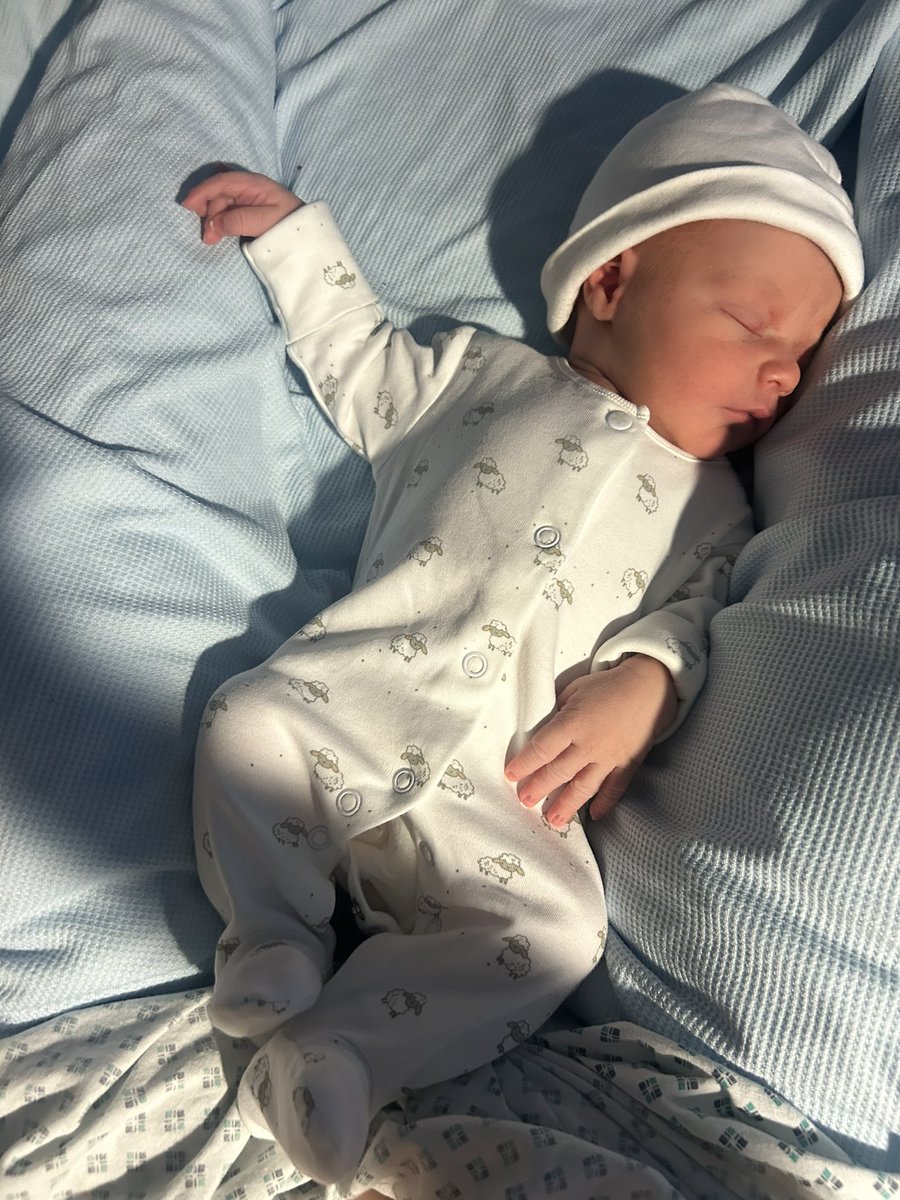 We did it <a href="/faceless_sol/">faceless 🟡</a> 💙💤