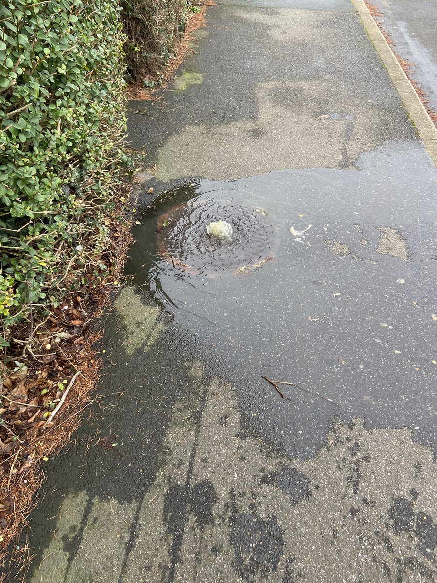 Tom Porter tweet media