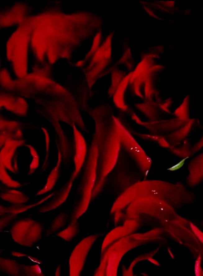 이렇게 빨간색을 잘 소화하는 사람을 만나본 적이 있나요? 🍷✨