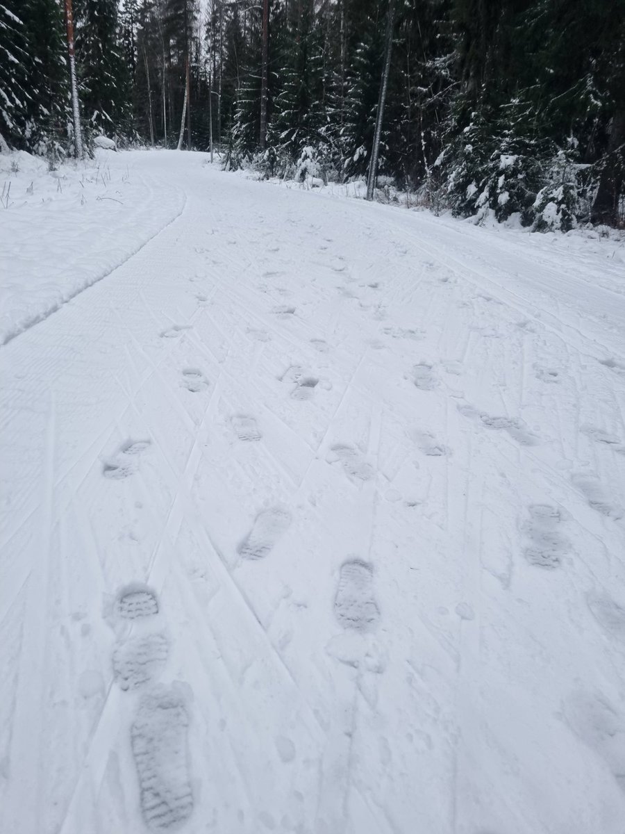 Jos ajattelet, että saat kävellä missä vaan ja milloin  vaan, niin ET SAA. Kun latubaana on ajettu, niin silloin siinä ei kävellä. Silloin kävellään jossain muualla.