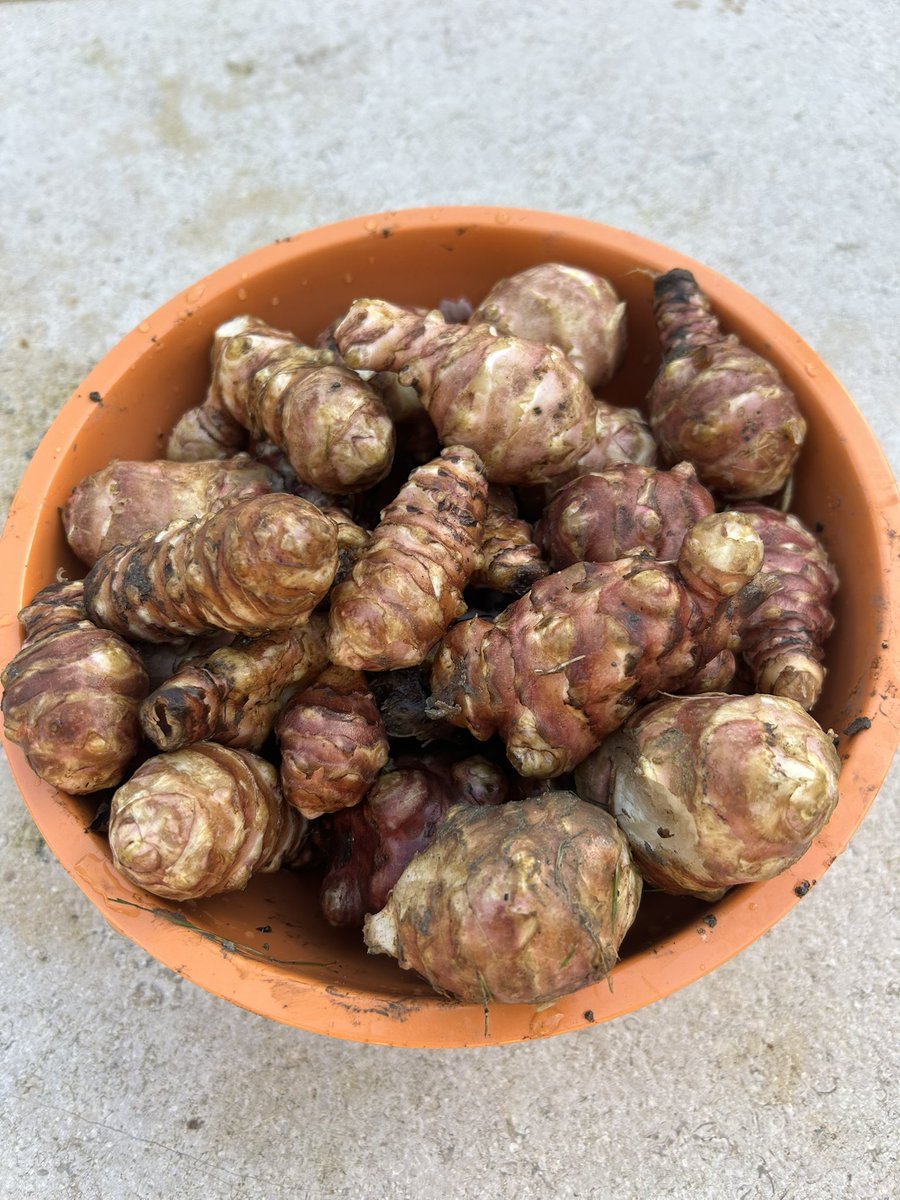 Peter Brennan tweet media