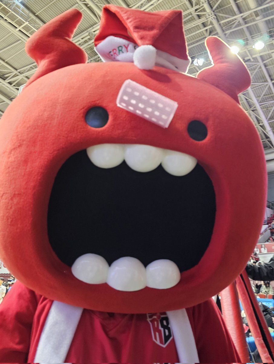 오늘 잇엇던 황당한 일,,
앞머리에 롤 말고 있었는데 레드부가 뒤에서 쓱 빼가더니 지 머리에 붙임ㅁㅊ