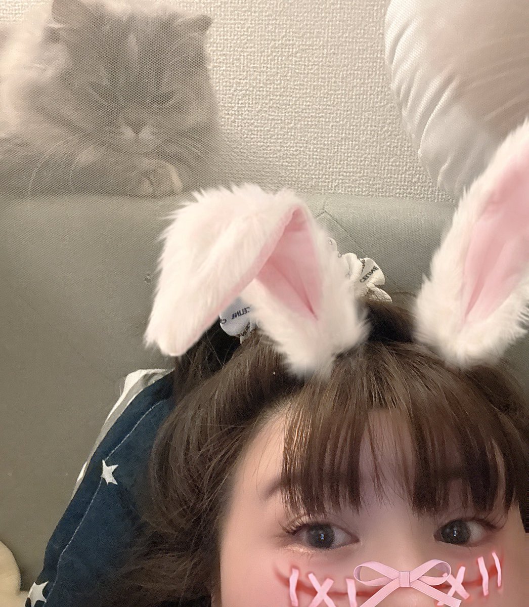 0oio054's tweet photo. #ねこすき 
#ねこ好きさんと繋がりたい 

这次我不想说我要减多少了，之前我还信誓旦旦的拍抖音视频减肥日记说一定成效，结果后来三个月后我就不坚持了！哈哈哈，这次我是偷摸着减吧！
比较没有毅力，如果有小伙伴一起减就好了！ https://t.co/aiymj6MSO9