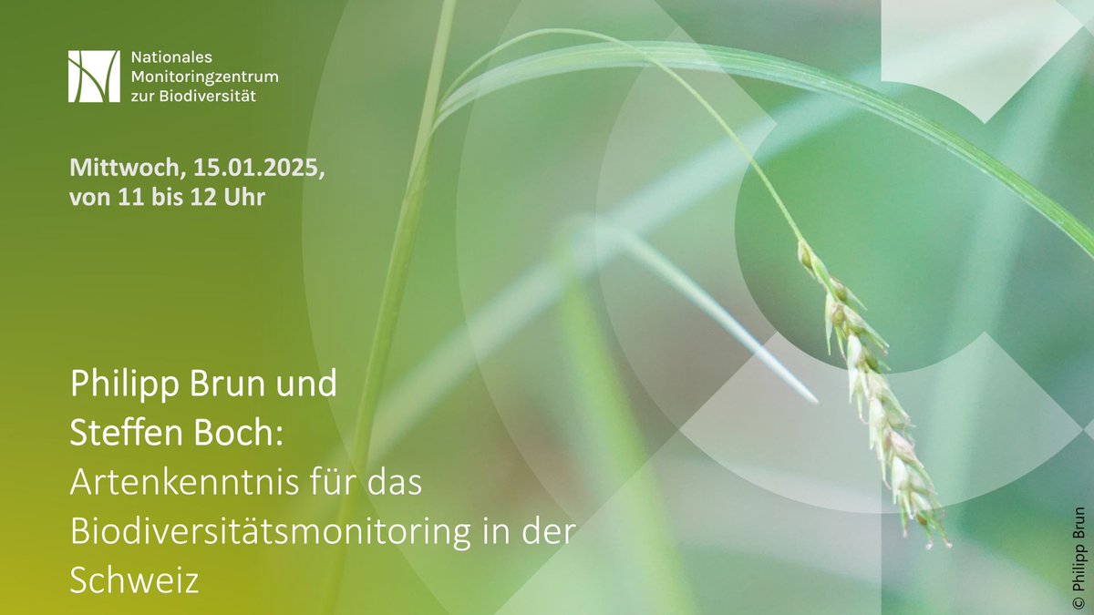 An diesem Mittwoch um 11 Uhr geht es im kostenlosen Online-Vortrag das #NationalenMonitoringzentrums um das Biodiversitätsmonitoring in der Schweiz und was wir davon lernen können: bfn-event.webex.com/webappng/sites… 
#onlinevortrag #Schweiz #Datenbanken #monitoring #biodiversität #bfn