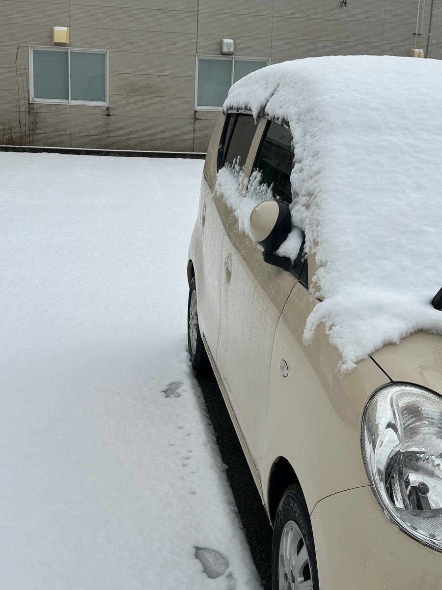 akabou_himawari's tweet photo. とうとう市街地の平地にも #雪❄️ が積もりました。
この #冬 は雪が多くなるとか😣
#ドイツ大戦機コレクション
#冬季迷彩 #Bf109 #Fw109 #Ju87 #Bf110
#Ju88 #Do17 #He111 #Ju52 #CORGI #DIECASTMODEL
#コーギー #ダイキャストモデル
#メッサーシュミット #フォッケウルフ #スツーカ
#秋田市 https://t.co/xXfzWznIfL