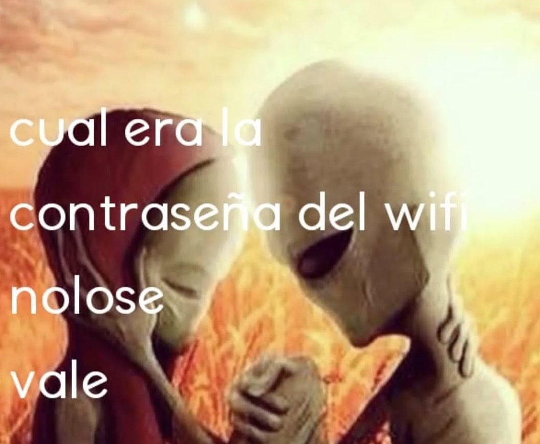 miau tweet media